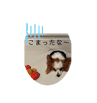 こんにちは、レオ❗️（個別スタンプ：6）