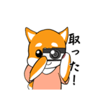 柴犬の捜索隊（個別スタンプ：8）