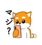 柴犬の捜索隊（個別スタンプ：12）