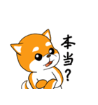 柴犬の捜索隊（個別スタンプ：13）