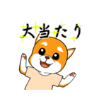 柴犬の捜索隊（個別スタンプ：16）
