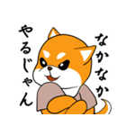 柴犬の捜索隊（個別スタンプ：17）