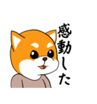 柴犬の捜索隊（個別スタンプ：21）