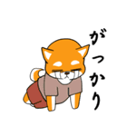 柴犬の捜索隊（個別スタンプ：22）