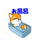 柴犬の捜索隊（個別スタンプ：24）