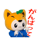 「実写版」かし丸くん（個別スタンプ：19）