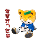 「実写版」かし丸くん（個別スタンプ：24）