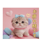 スコティッシュ猫 リボン 使える日常 敬語（個別スタンプ：8）