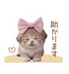 スコティッシュ猫 リボン 使える日常 敬語（個別スタンプ：9）