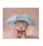 スコティッシュ猫 リボン 使える日常 敬語（個別スタンプ：10）