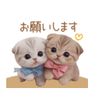 スコティッシュ猫 リボン 使える日常 敬語（個別スタンプ：12）
