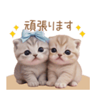 スコティッシュ猫 リボン 使える日常 敬語（個別スタンプ：14）