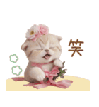 スコティッシュ猫 リボン 使える日常 敬語（個別スタンプ：15）