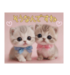 スコティッシュ猫 リボン 使える日常 敬語（個別スタンプ：20）