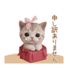 スコティッシュ猫 リボン 使える日常 敬語（個別スタンプ：23）