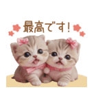 スコティッシュ猫 リボン 使える日常 敬語（個別スタンプ：25）