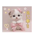スコティッシュ猫 リボン 使える日常 敬語（個別スタンプ：32）