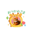 ベンガル猫ルキ君（個別スタンプ：1）