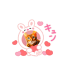 ベンガル猫ルキ君（個別スタンプ：2）