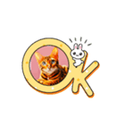 ベンガル猫ルキ君（個別スタンプ：6）