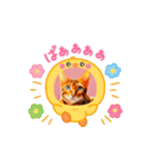 ベンガル猫ルキ君（個別スタンプ：7）