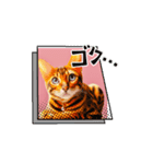 ベンガル猫ルキ君（個別スタンプ：8）