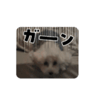 うごく！ゆめちゃん（個別スタンプ：8）