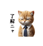 【動く】リアル茶トラ猫（個別スタンプ：5）
