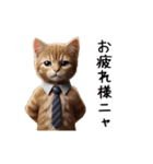 【動く】リアル茶トラ猫（個別スタンプ：9）