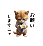 【動く】リアル茶トラ猫（個別スタンプ：11）