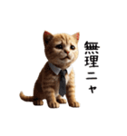 【動く】リアル茶トラ猫（個別スタンプ：15）