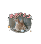 名古屋コーチンのこーちゃん（個別スタンプ：13）