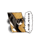 ツキ＆ジェニ仲良しスタンプ（個別スタンプ：8）