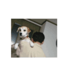 我が家のくぅたん4（個別スタンプ：9）