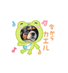 虎鉄～（個別スタンプ：5）
