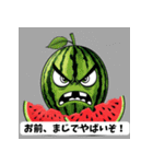 怒るスイカ：ユーモア満載のスタンプ（個別スタンプ：33）