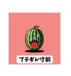 怒るスイカ：ユーモア満載のスタンプ（個別スタンプ：38）