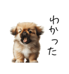 仕事で使えるペキニーズの子犬スタンプ（個別スタンプ：6）