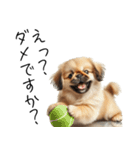 仕事で使えるペキニーズの子犬スタンプ（個別スタンプ：32）