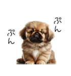 仕事で使えるペキニーズの子犬スタンプ（個別スタンプ：37）
