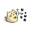 ポジティブ特集（個別スタンプ：5）