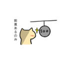 ポジティブ特集（個別スタンプ：15）