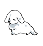無敵爆弾犬（個別スタンプ：37）