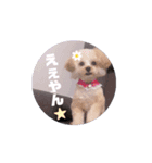ウルウルBABY（個別スタンプ：1）