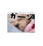 ウルウルBABY（個別スタンプ：2）