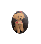 ウルウルBABY（個別スタンプ：3）