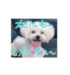 ウルウルBABY（個別スタンプ：4）