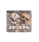 ウルウルBABY（個別スタンプ：8）