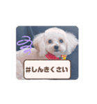 ウルウルBABY（個別スタンプ：9）