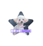 ウルウルBABY（個別スタンプ：11）